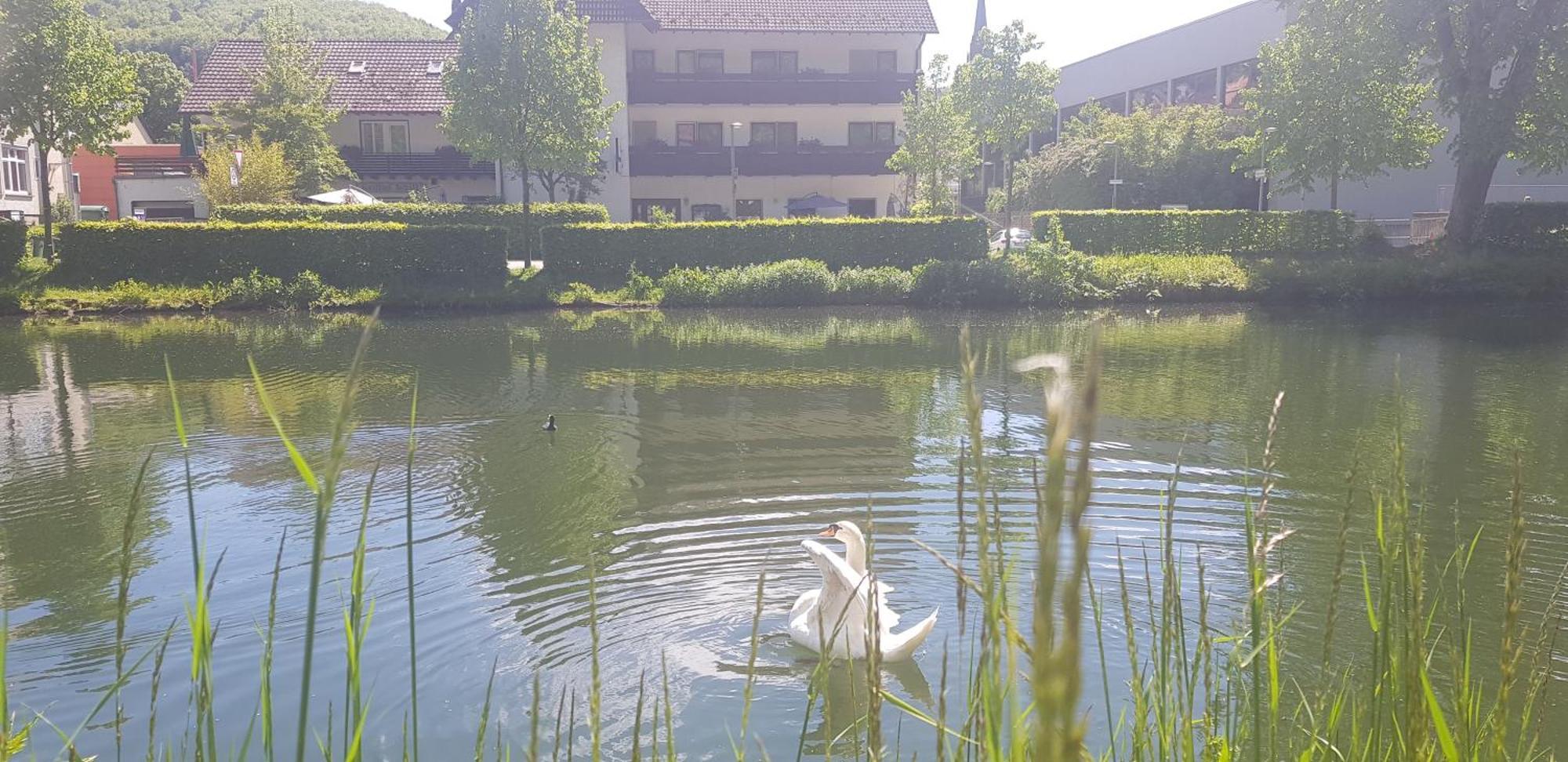 Hotel Schiff Nagold Bagian luar foto