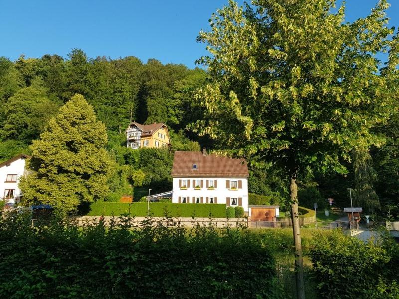 Hotel Schiff Nagold Bagian luar foto