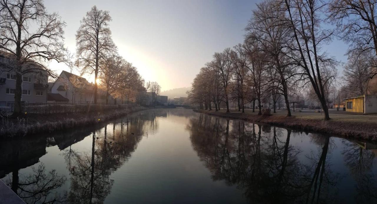 Hotel Schiff Nagold Bagian luar foto